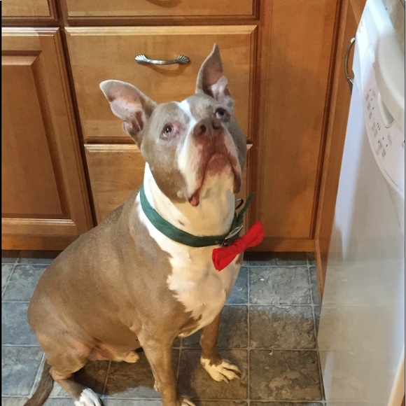 Meet your Posher, Kiersten - Picture 8 of 11